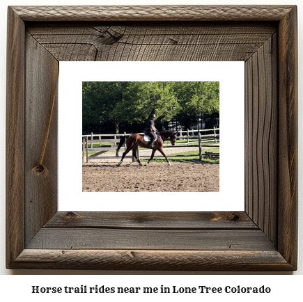 horse trail rides near me in Lone Tree, Colorado